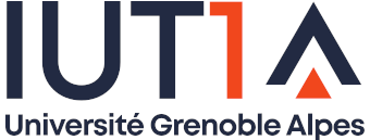 MMI Grenoble